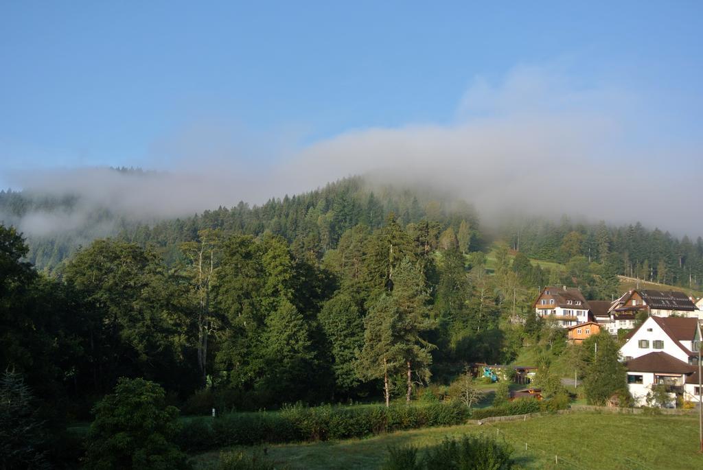 Enz Residenz Hotel Enzklösterle Kültér fotó