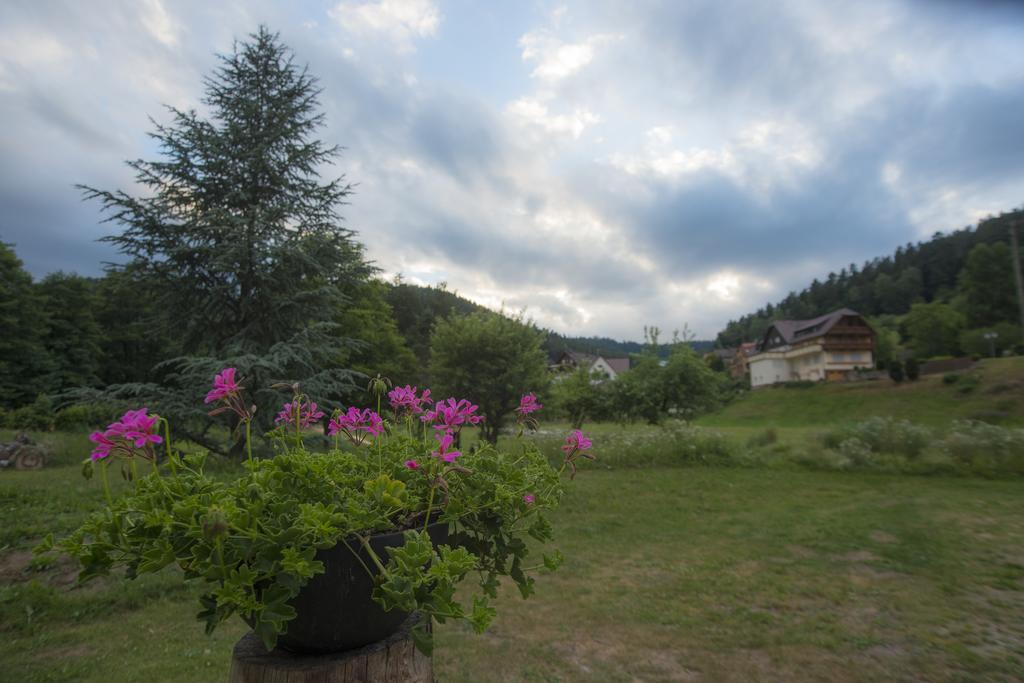 Enz Residenz Hotel Enzklösterle Kültér fotó