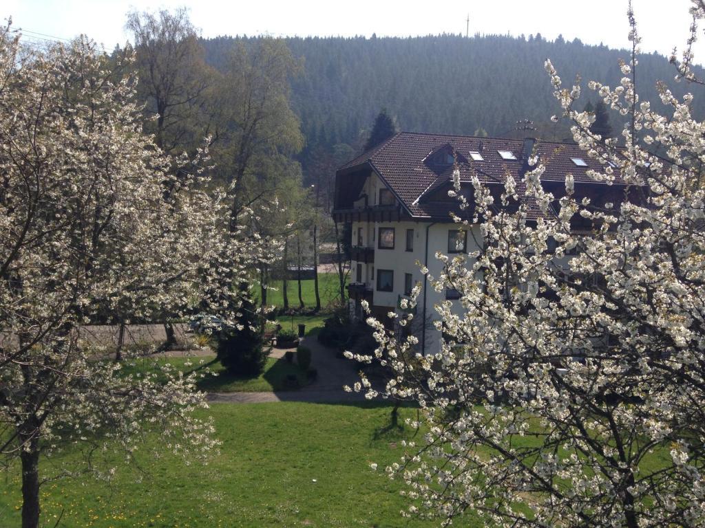 Enz Residenz Hotel Enzklösterle Kültér fotó